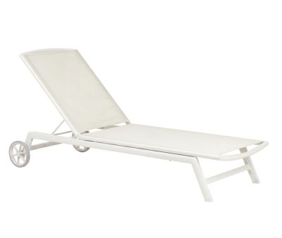 Benjamin Solvogn - Gråhvid