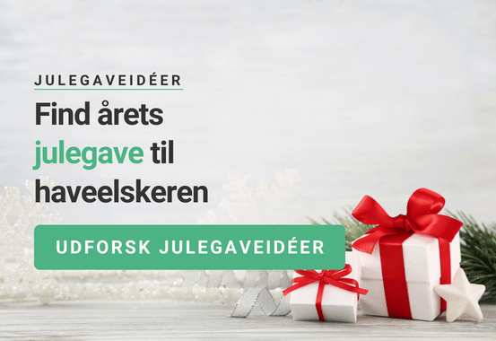 Julegaveid&eacute;er
